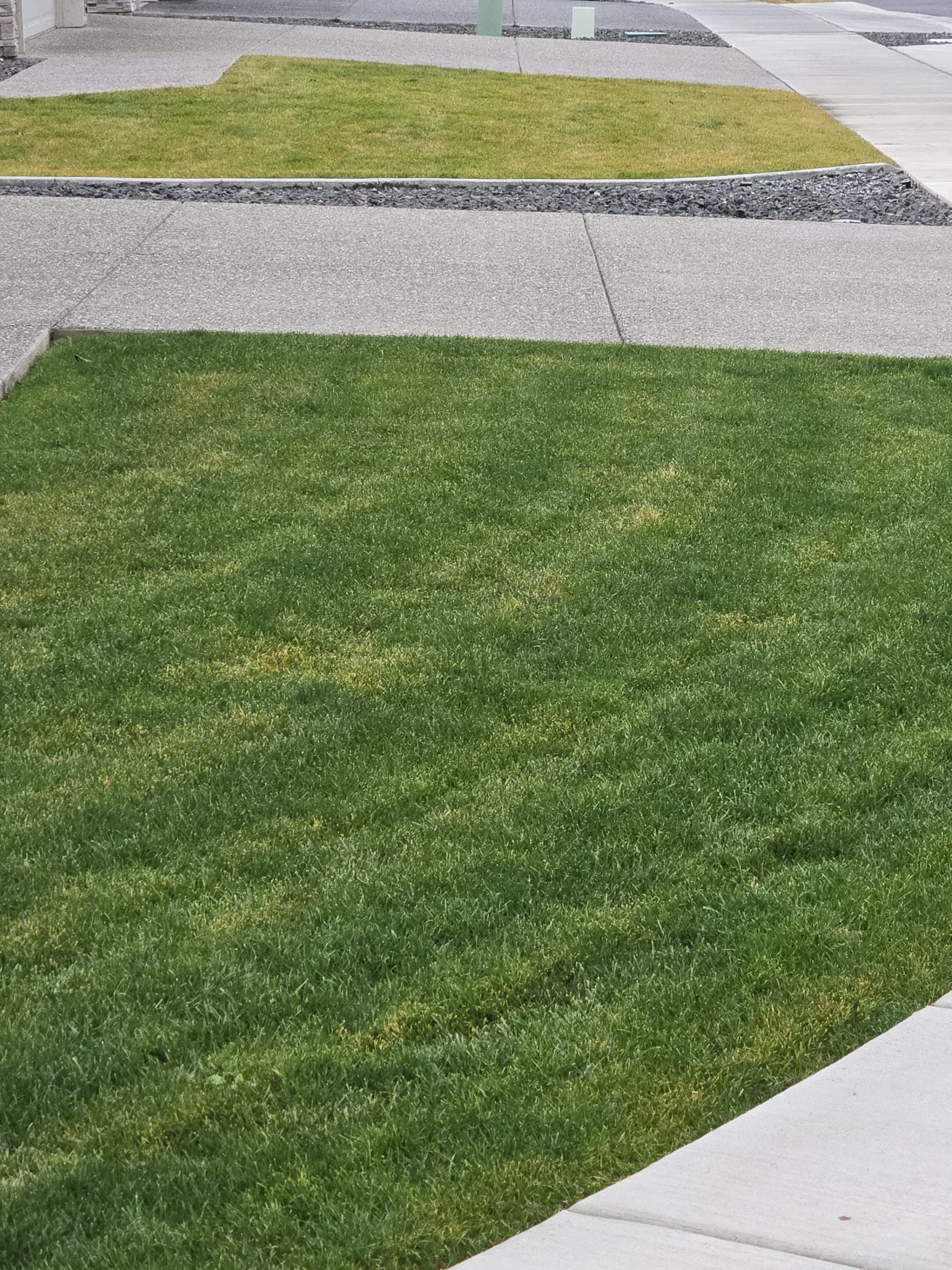 Keep your Tri-City Lawn Green