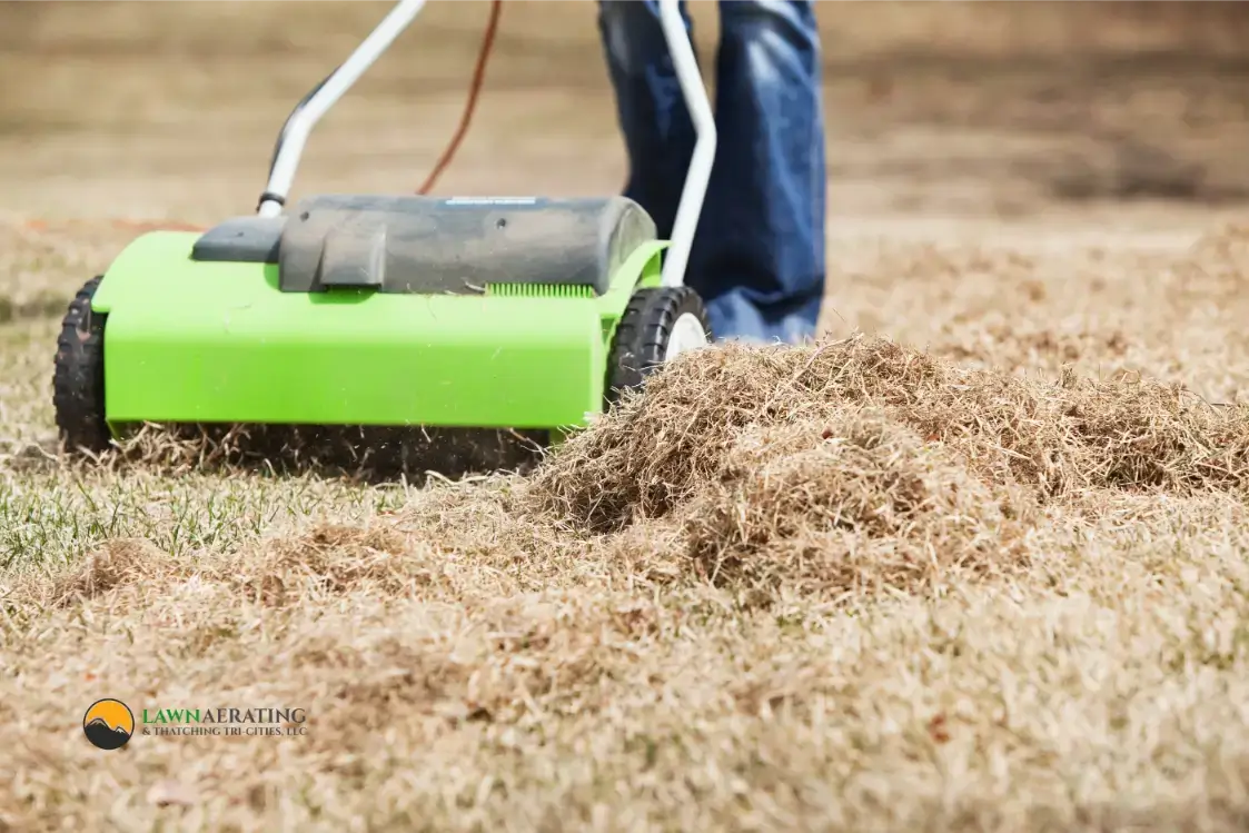 Lawn dethatching in Eastern Washington