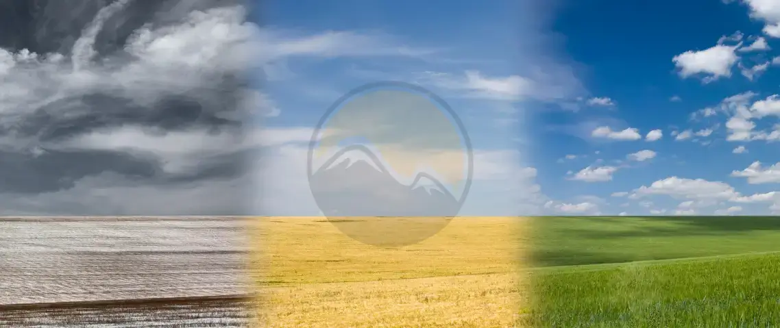 Four Seasons Lawn Program in Tri-Cities