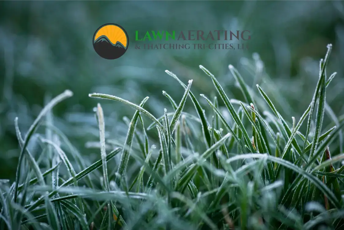 Winter lawn care tips