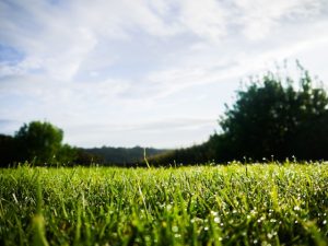 seasonal lawn care schedule Tri-Cities WA